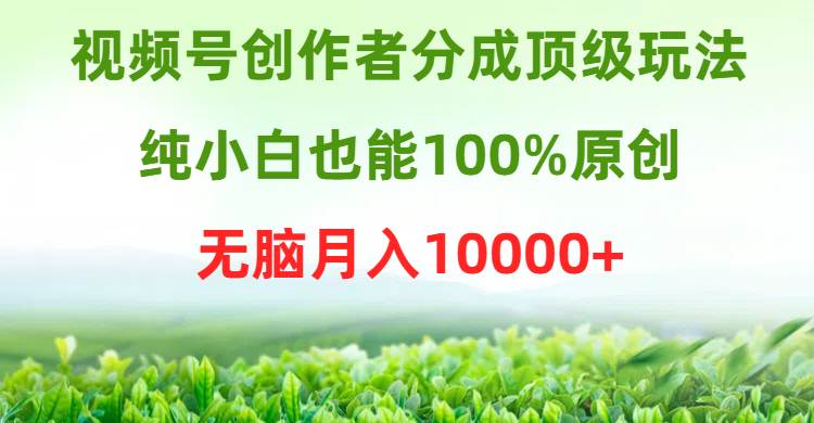 视频号创作者分成顶级玩法，纯小白也能100%原创，无脑月入10000+-云起副业网