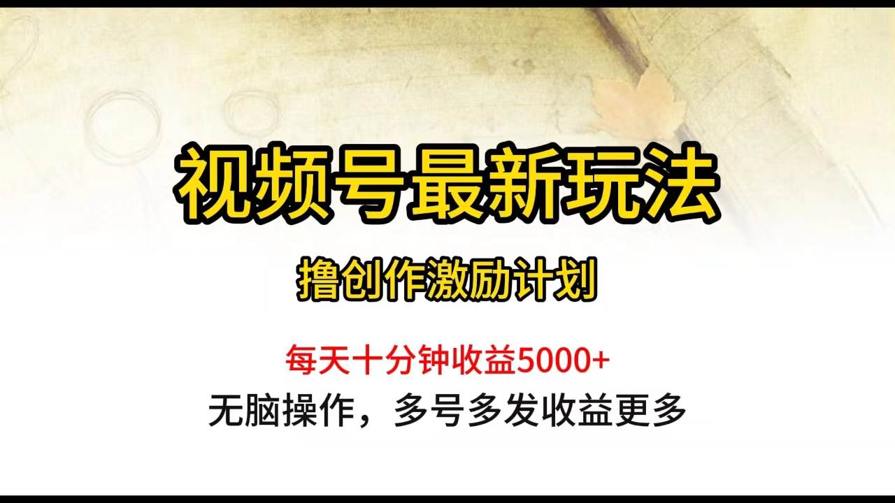 视频号最新玩法，每日一小时月入5000+-云起副业网