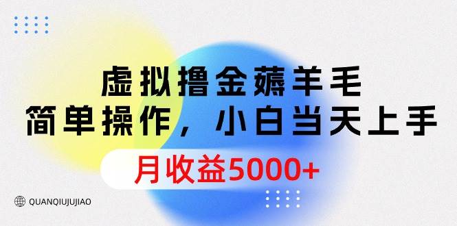 虚拟撸金薅羊毛，简单操作，小白当天上手，月收益5000+-云起副业网