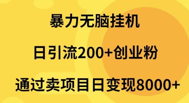 暴力无脑挂机日引流200+创业粉通过卖项目日变现2000+插图 暴力无脑挂机日引流200+创业粉通过卖项目日变现2000+插图