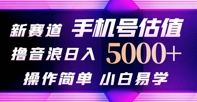 抖音不出境直播【手机号估值】最新撸音浪，日入5000+，简单易学，适合…-云起副业网
