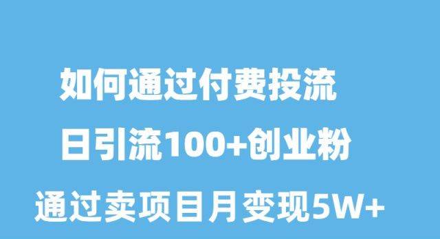 如何通过付费投流日引流100+创业粉月变现5W+-云起副业网