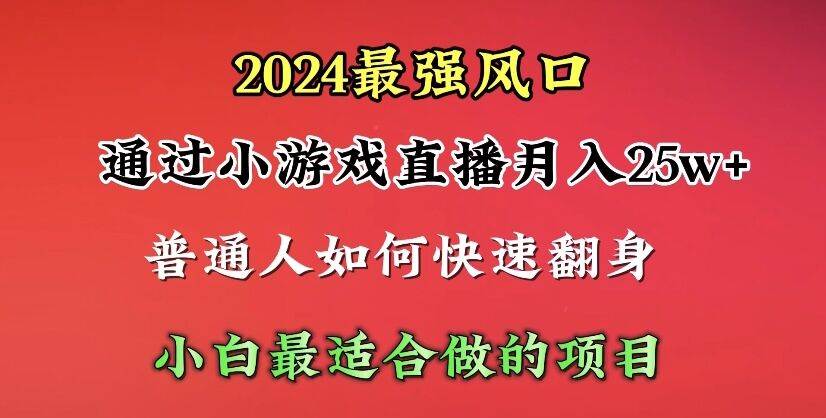 2024年最强风口，通过小游戏直播月入25w+单日收益5000+小白最适合做的项目-云起副业网