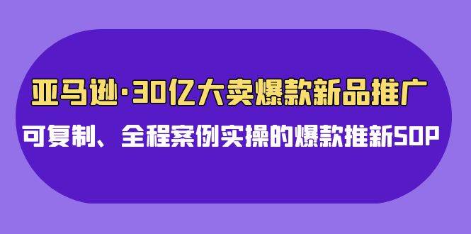 亚马逊30亿·大卖爆款新品推广，可复制、全程案例实操的爆款推新SOP-云起副业网