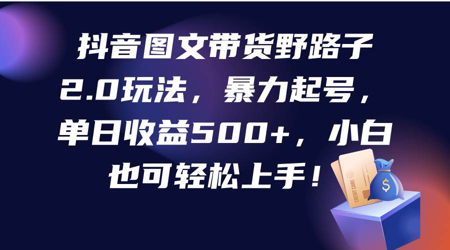 抖音图文带货野路子2.0玩法，暴力起号，单日收益500+，小白也可轻松上手！-云起副业网