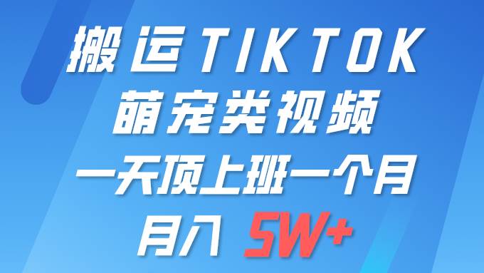 一键搬运TIKTOK萌宠类视频 一部手机即可操作 所有平台均可发布 轻松月入5W+-云起副业网