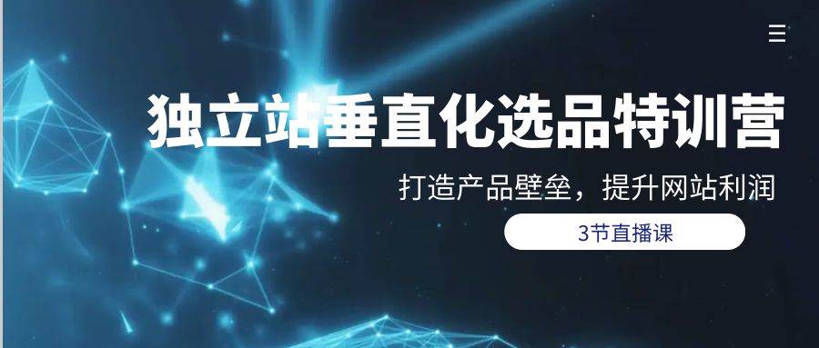 独立站-垂直化选品训练营，打造产品壁垒，提升网站利润（3节直播课）-云起副业网