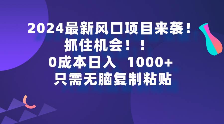 2024最新风口项目来袭，抓住机会，0成本一部手机日入1000+，只需无脑复…-云起副业网