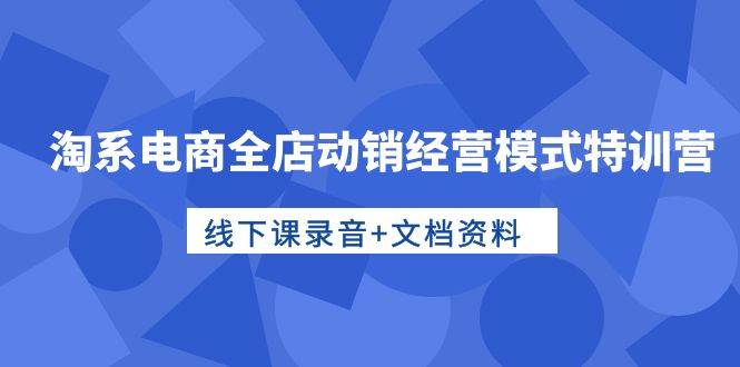 淘系电商全店动销经营模式特训营，线下课录音+文档资料-云起副业网