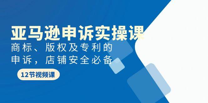 亚马逊-申诉实战课，商标、版权及专利的申诉，店铺安全必备-云起副业网