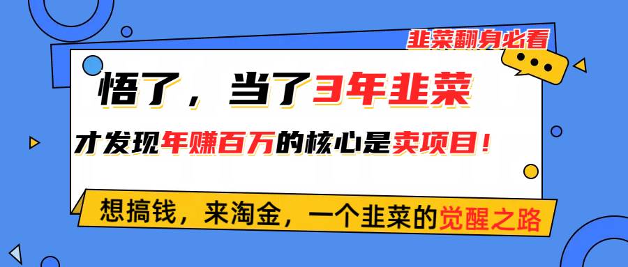 悟了，当了3年韭菜，才发现网赚圈年赚100万的核心是卖项目，含泪分享！-云起副业网