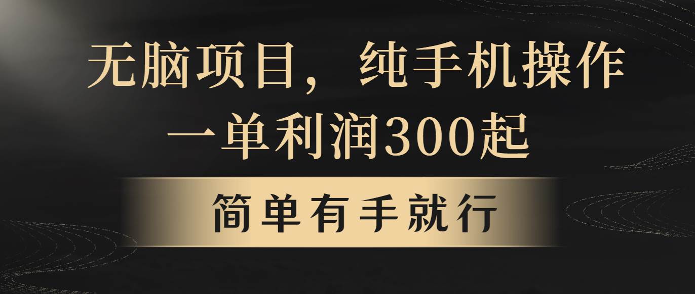 无脑项目，一单几百块，轻松月入5w+，看完就能直接操作-云起副业网