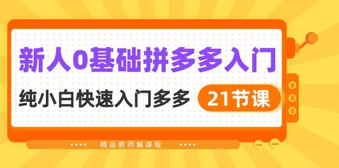新人0基础拼多多入门，纯小白快速入门多多（21节课）-云起副业网