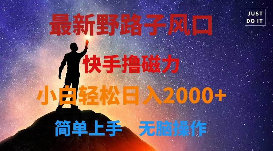 最新风口！快手撸磁力，野路子，小白无脑操作日入2000+-云起副业网
