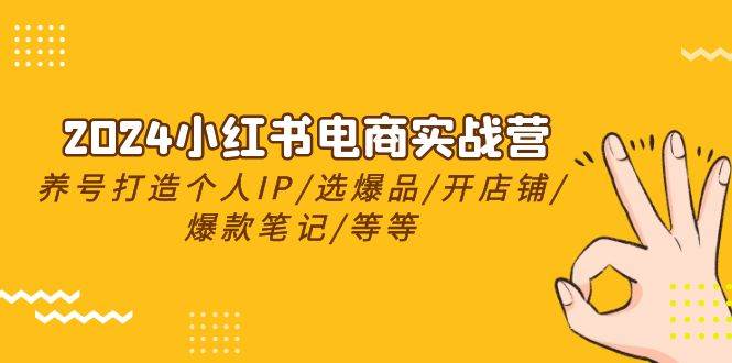2024小红书电商实战营，养号打造IP/选爆品/开店铺/爆款笔记/等等（24节）-云起副业网