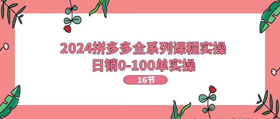 2024拼多多全系列课程实操,日销0-100单实操【16节课】-云起副业网
