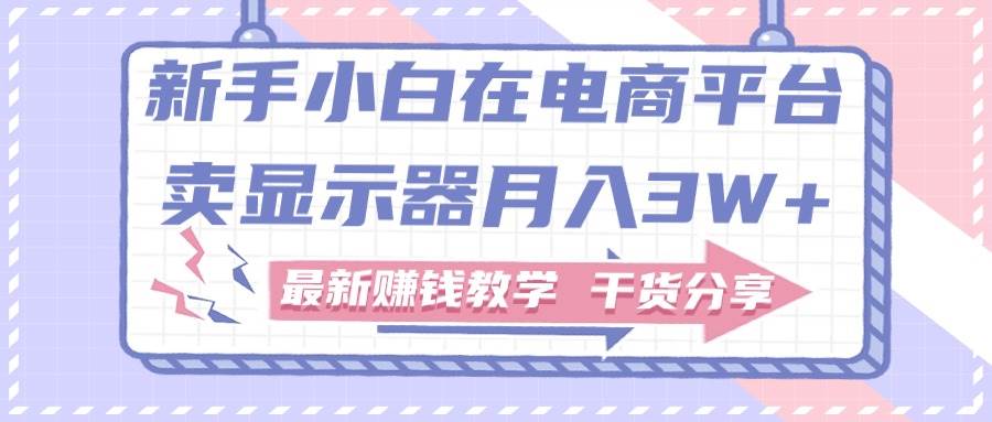 新手小白如何做到在电商平台卖显示器月入3W+，最新赚钱教学干货分享-云起副业网