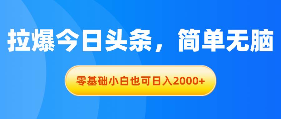 拉爆今日头条，简单无脑，零基础小白也可日入2000+-云起副业网