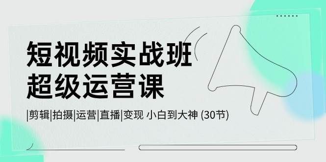 短视频实战班-超级运营课,|剪辑|拍摄|运营|直播|变现 小白到大神 (30节)-云起副业网