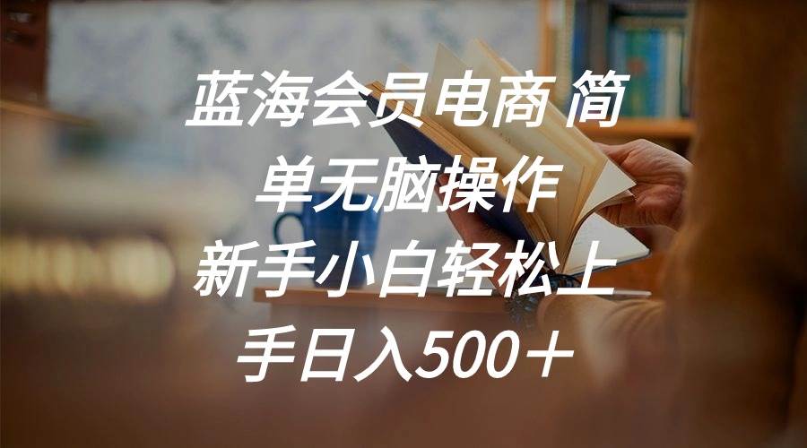 蓝海会员电商 简单无脑操作 新手小白轻松上手日入500＋-云起副业网