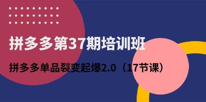 拼多多第37期培训班：拼多多单品裂变起爆2.0（17节课）-云起副业网