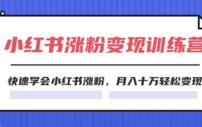 2024小红书涨粉变现训练营,快速学会小红书涨粉,月入十万轻松变现(40节)-云起副业网