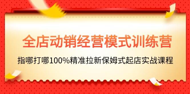 全店动销-经营模式训练营，指哪打哪100%精准拉新保姆式起店实战课程-云起副业网