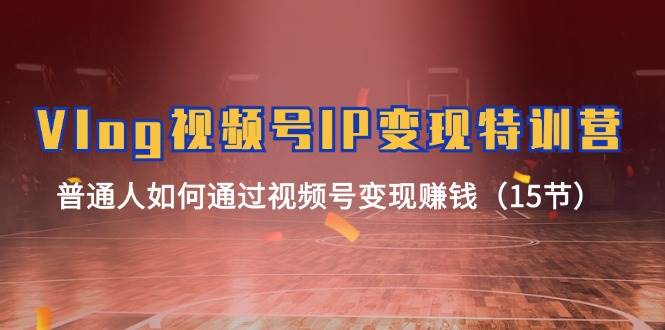 Vlog 视频号IP变现特训营，普通人如何通过视频号变现赚钱（15节）-云起副业网