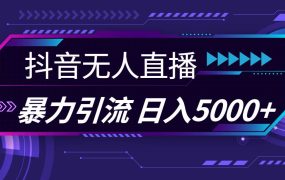 抖音无人直播,暴利引流,日入5000+-云起副业网