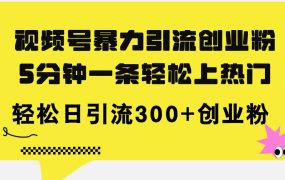 视频号暴力引流创业粉,5分钟一条轻松上热门,轻松日引流300+创业粉-云起副业网