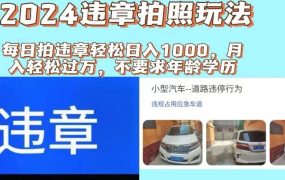 2024违章拍照新玩法,推广躺赚+拍照赚钱双模式,日入1000+-云起副业网