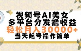 视频号AI美女,轻松月入30000+,操作简单轻松上手-云起副业网