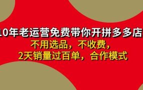 拼多多 最新合作开店日收4000+两天销量过百单,无学费、老运营代操作、...-云起副业网