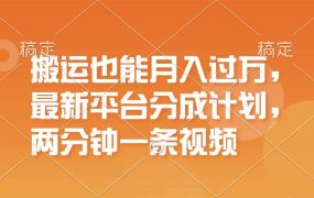 搬运也能月入过万，最新平台分成计划，一万播放一百米，一分钟一个作品-云起副业网