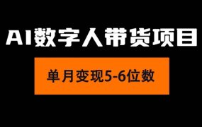 2024年Ai数字人带货，小白就可以轻松上手，真正实现月入过万的项目-云起副业网