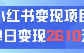 利用小红书卖资料单日引流150人当日变现2610元小白可实操(教程+资料)-云起副业网