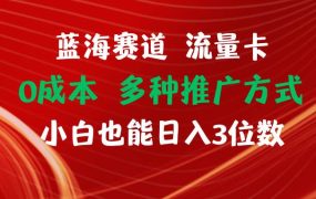 蓝海赛道 流量卡 0成本 小白也能日入三位数-云起副业网