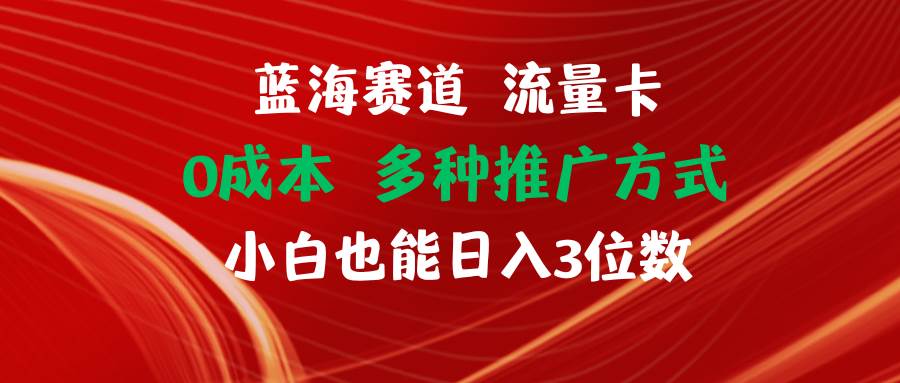 蓝海赛道 流量卡 0成本 小白也能日入三位数-云起副业网