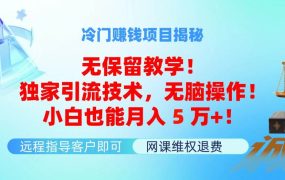 冷门赚钱项目无保留教学!独家引流技术,无脑操作!小白也能月入5万+!-云起副业网