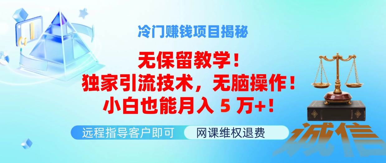 冷门赚钱项目无保留教学！独家引流技术，无脑操作！小白也能月入5万+！-云起副业网