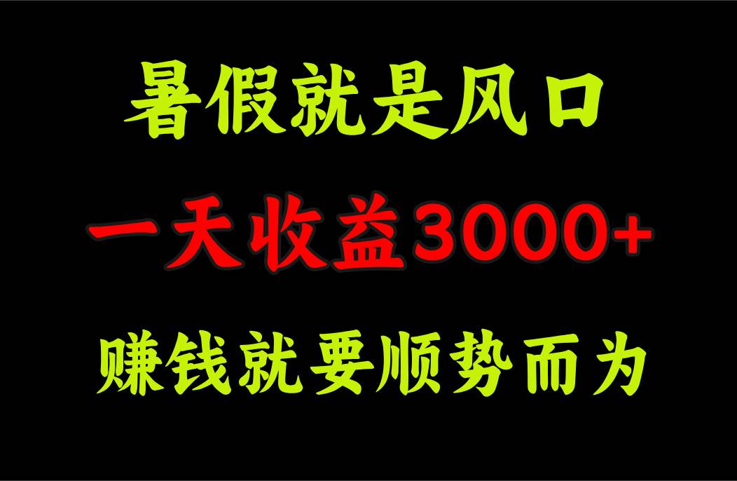 一天收益3000+ 赚钱就是顺势而为，暑假就是风口-云起副业网