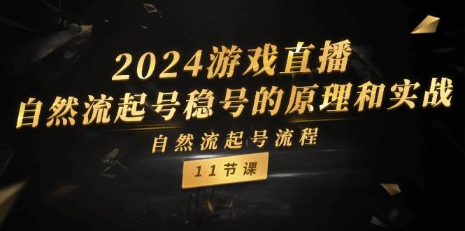 2024游戏直播-自然流起号稳号的原理和实战，自然流起号流程（11节）-云起副业网