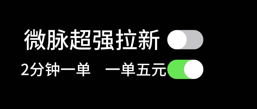 微脉超强拉新， 两分钟1单， 一单利润5块，适合小白-云起副业网