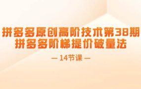 拼多多原创高阶技术第38期,拼多多阶梯提价破量法(14节课)-云起副业网