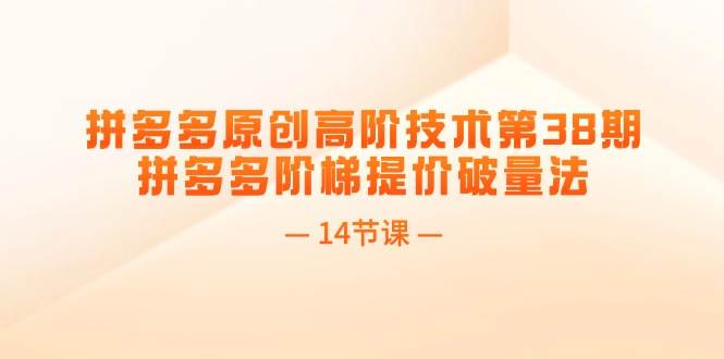 拼多多原创高阶技术第38期，拼多多阶梯提价破量法（14节课）-云起副业网