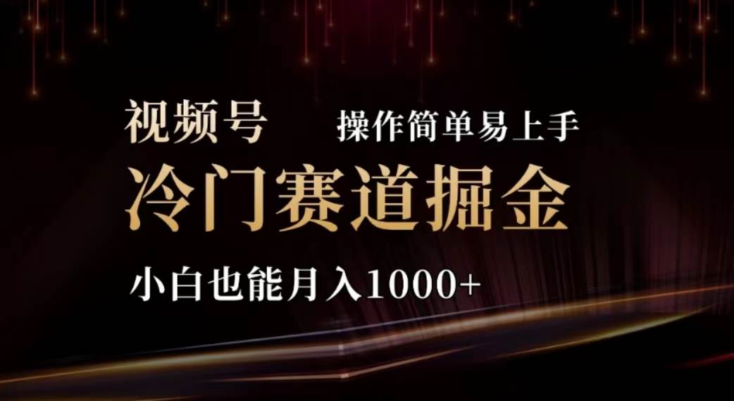 2024视频号冷门赛道掘金，操作简单轻松上手，小白也能月入1000+-云起副业网