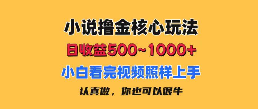 小说撸金核心玩法，日收益500-1000+，小白看完照样上手，0成本有手就行-云起副业网