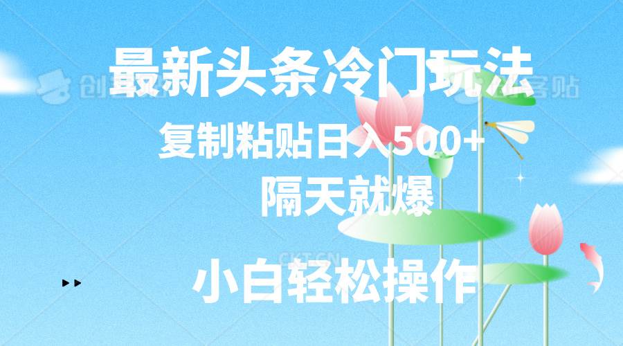 最新头条冷门玩法，隔天就爆，复制粘贴日入500+-云起副业网