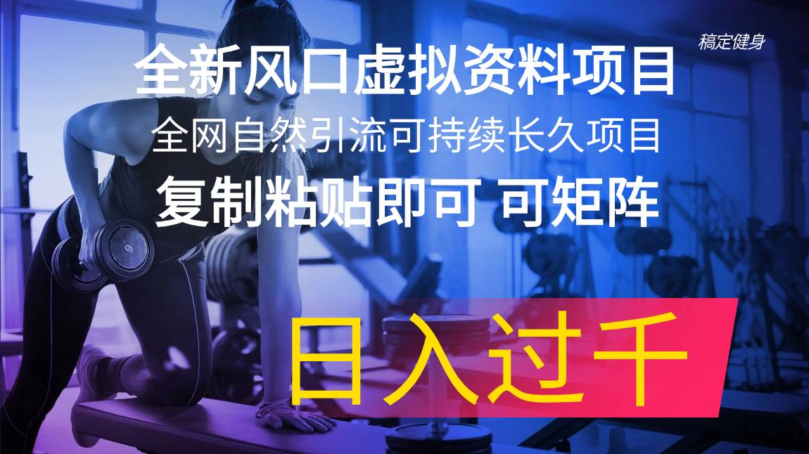 全新风口虚拟资料项目 全网自然引流可持续长久项目 复制粘贴即可可矩阵…-云起副业网