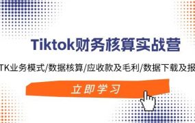 Tiktok财务核算实战营:TK业务模式/数据核算/应收款及毛利/数据下载及报表-云起副业网